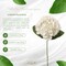 12-Pack: White Hydrangea Stem with Lifelike Silk Foliage by Floral Home®